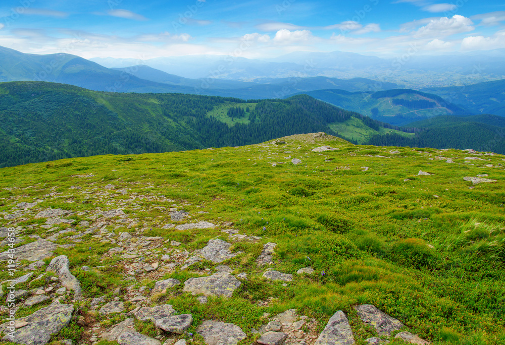 Fototapeta premium Mountain landscape in the summer