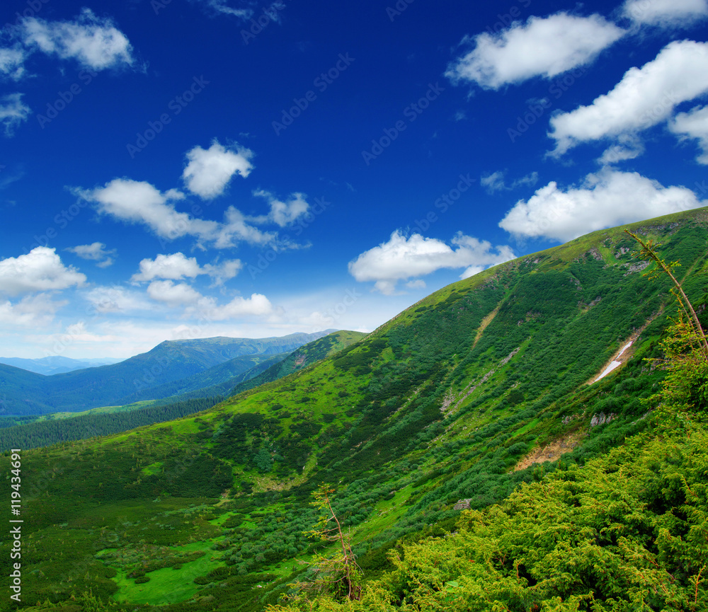 Naklejka premium Mountain landscape in the summer