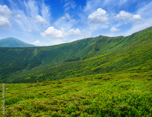 Mountain landscape in the summer