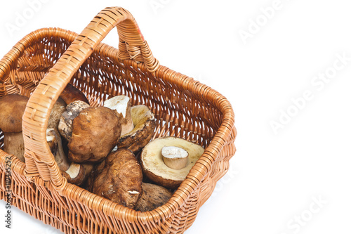 Mushrooms from the forest in a wicker basket