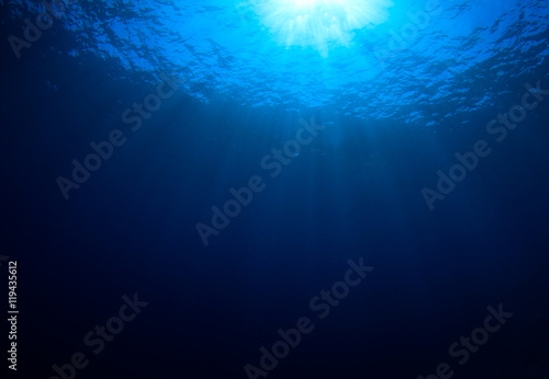 Underwater blue background in sea © Richard Carey