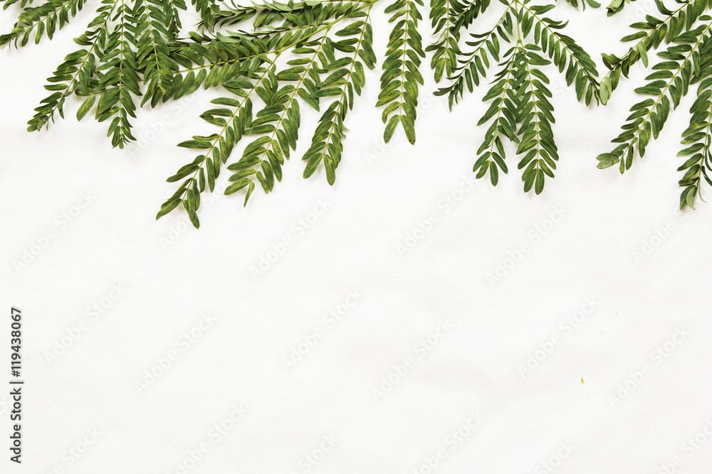 Fototapeta premium Patterns with leaves on white background, top view.
