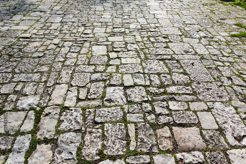Old cobblestone pavement with moss growing between stones