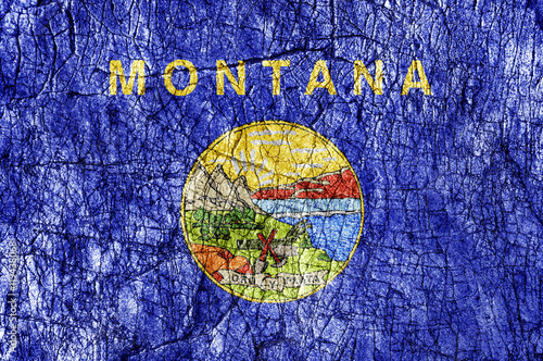 Grudge stone painted US Montana flag photo