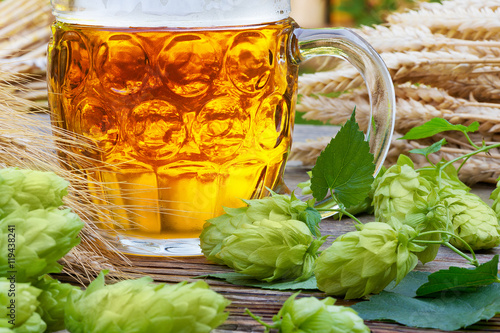 glass of beer with hops and raw material for beer production