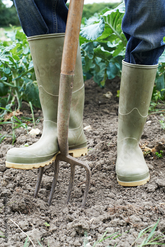 Close Up Of Farmer Working In Organic Farm Field photo