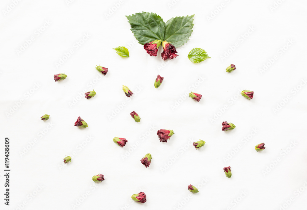 Red flower and leaf background Red flower and leaf background