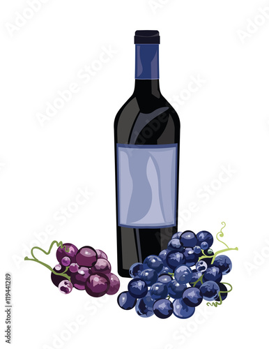 Bottle of Red Wine and grapes Vector Vintage illustration