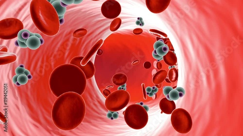 Animation of Glucose Molecules in a Bloodstream.
 photo