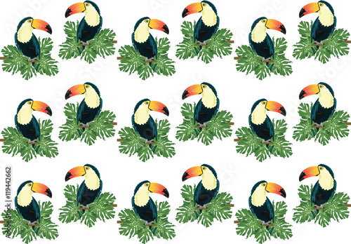 Toucan birds on leaves pattern. Vector illustration