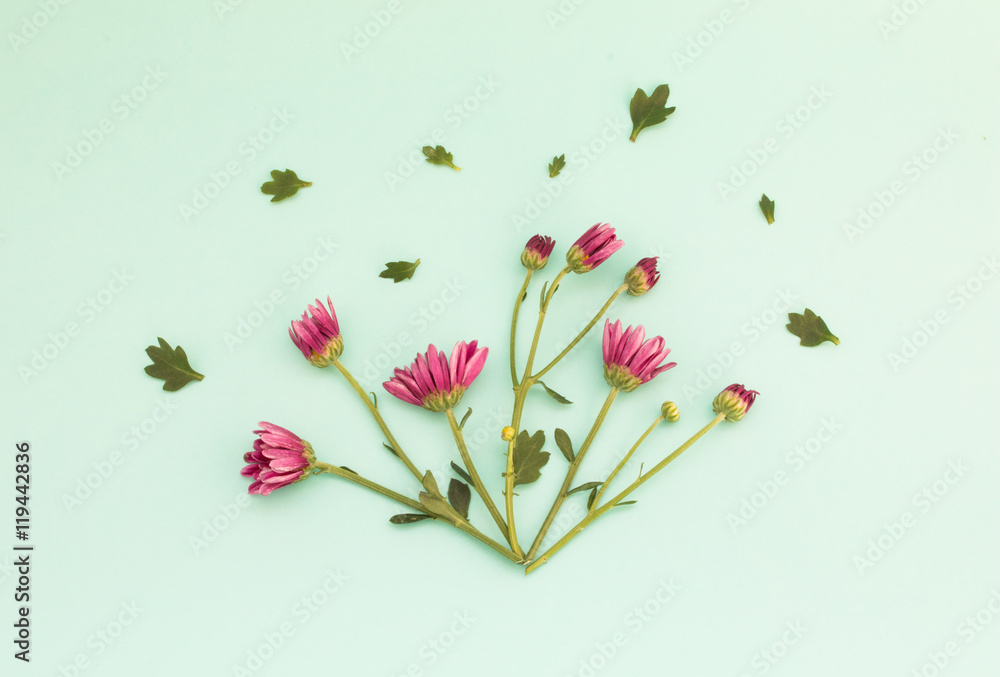 Pink colored flowers Pink colored flowers