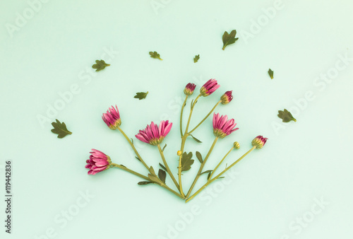 Pink colored flowers