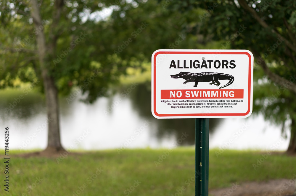 Alligator warning sign in Florida