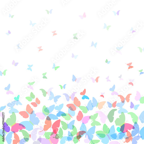 card design Colorful spring background with butterflies on white background. Vector