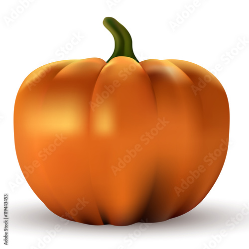 Zucca