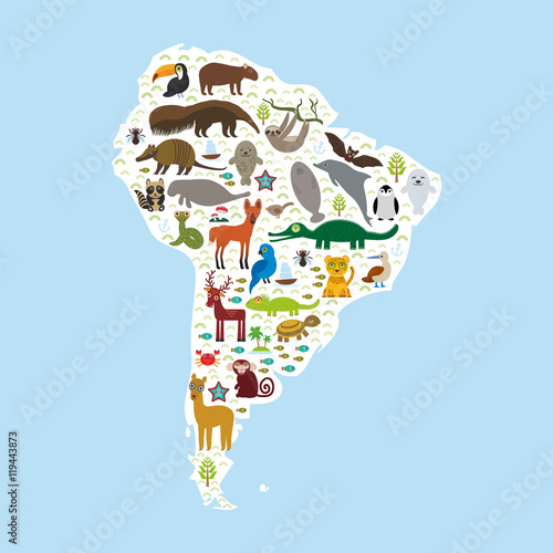 South America sloth anteater toucan lama bat fur seal armadillo boa manatee monkey dolphin Maned wolf raccoon jaguar Hyacinth macaw lizard turtle crocodile penguin Blue-footed booby Capybara. Vector