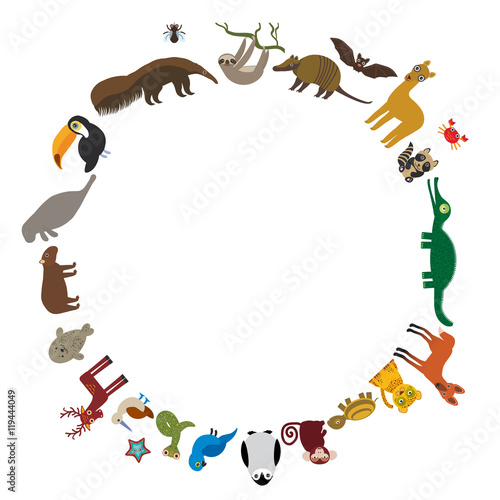 Round frame. Sloth anteater toucan lama bat seal armadillo boa manatee monkey dolphin Maned wolf raccoon jaguar Hyacinth macaw lizard turtle crocodile deer penguin Blue-footed booby Capybara. Vector