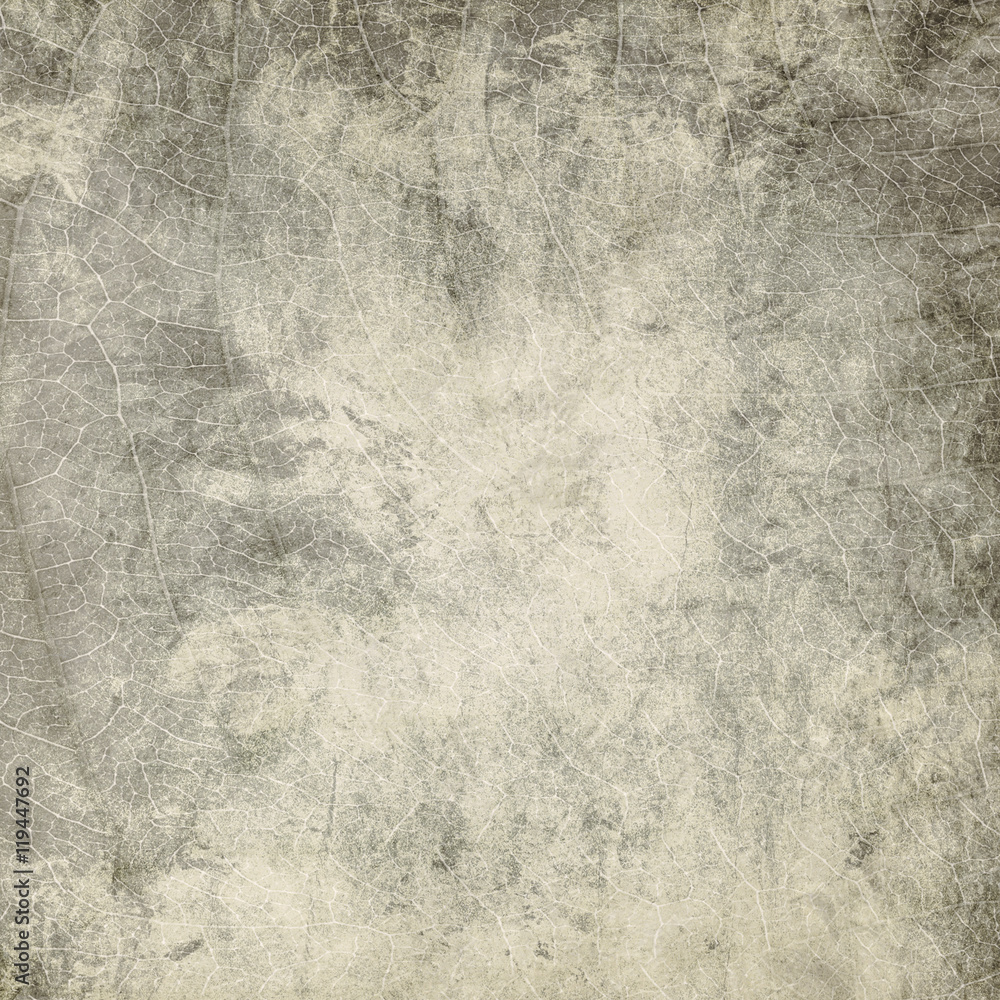 Obraz premium grunge background