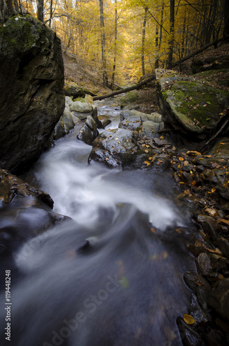forest stream in autumn