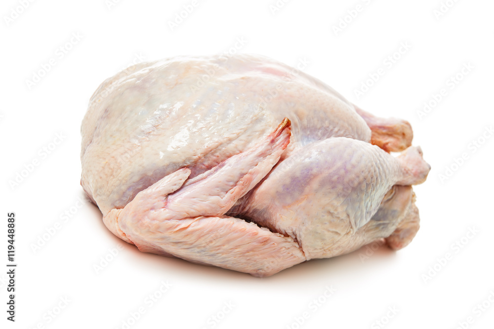 Raw goose Raw goose