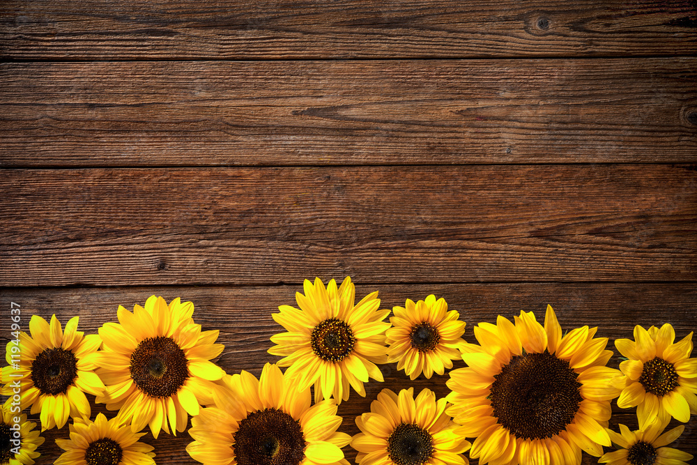 Obraz premium Sunflowers on wooden background