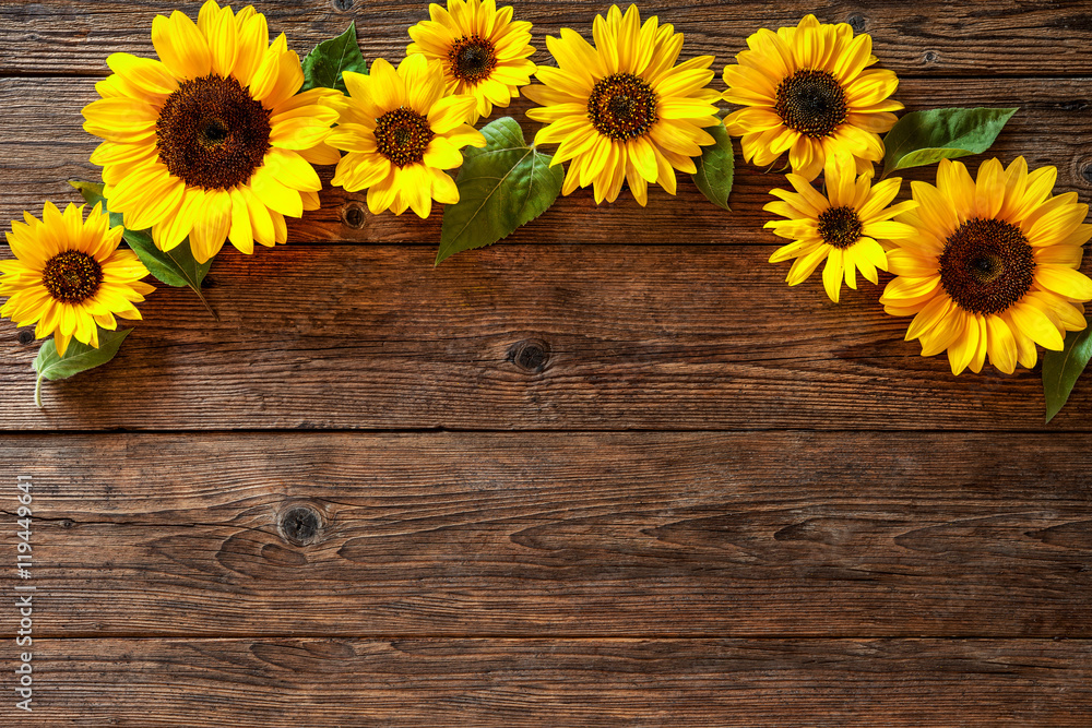 Fototapeta premium Sunflowers on wooden background