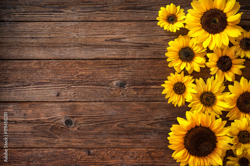 Fototapeta Naklejka Na Ścianę i Meble -  Sunflowers on wooden background