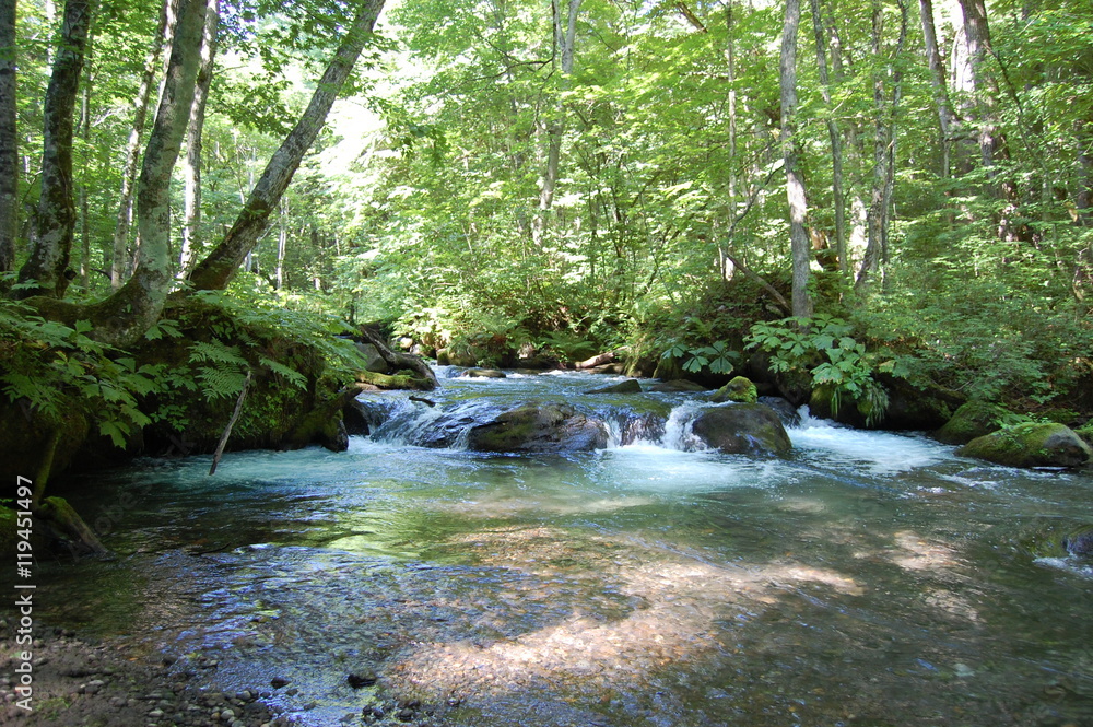 Obraz premium 奥入瀬渓流