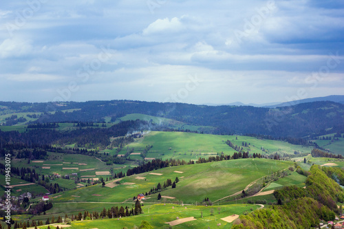 landscape of a Carpathians mountains with grassy valley, fir-tre