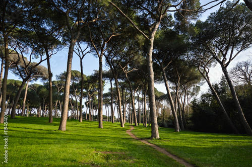 Villa Doria Pamphili, Rome, Italy