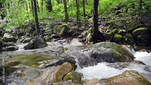 Small mountain river in deep forest of Thailand.