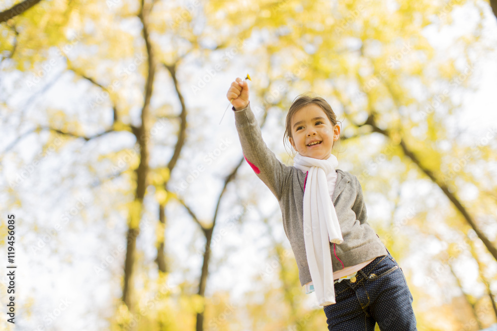 Little girl in the autumn park Little girl in the autumn park