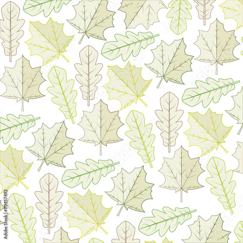 autumn dry leaves background