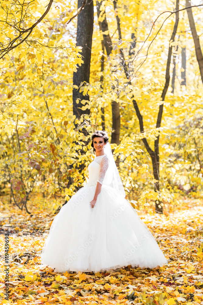 beautiful bride in the autumn park
