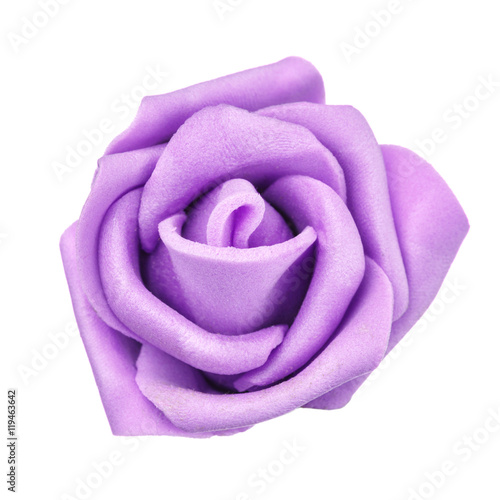 flower head isolated, beautiful decoration,top view
