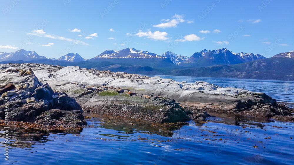 Isla de los Lobos, Canal de Beagle, Ushuaia