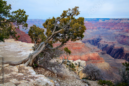 Grand Canyon