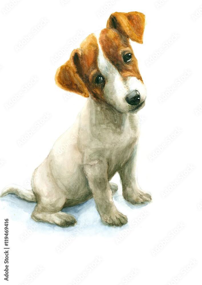 Watercolor Jack Russell Terrier puppy on white background