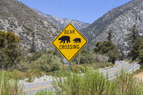 Bear Crossing Sign on Highw...