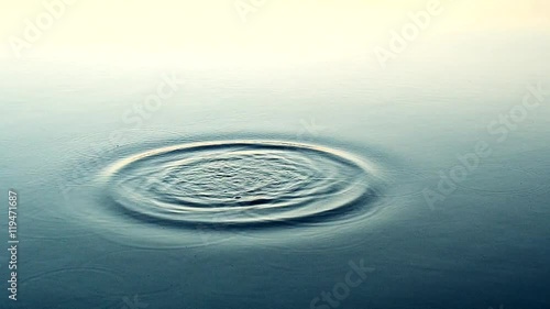 The thrown stone plops into water producing waves and rings on calm and smooth water surface