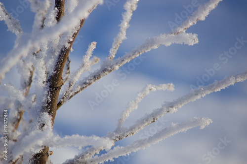 beautiful winter landscape © solstizia