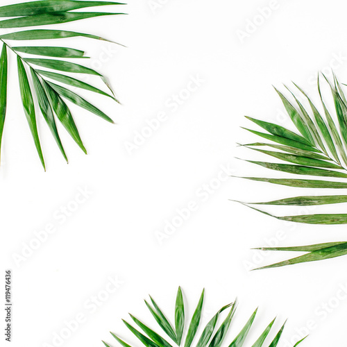 palm branches isolated on white background. flat lay, top view © Floral Deco