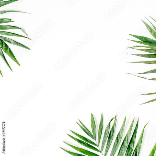 palm branches isolated on white background. flat lay  top view