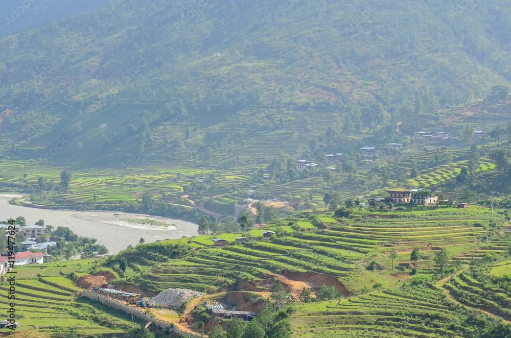 Beautiful Terraced Rice Fields in Punakha, Bhutan