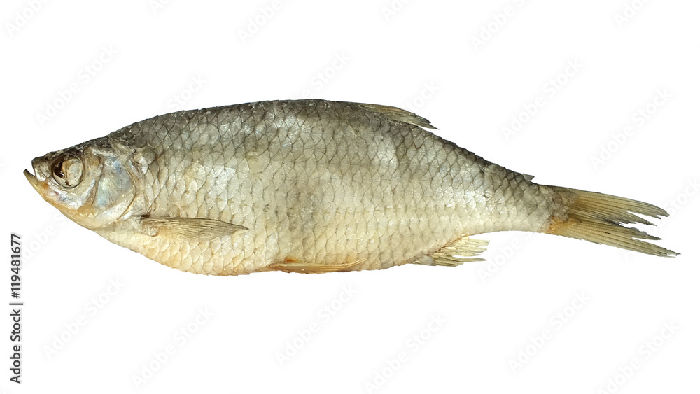 Stockfish isolated on white. dried fish roach

