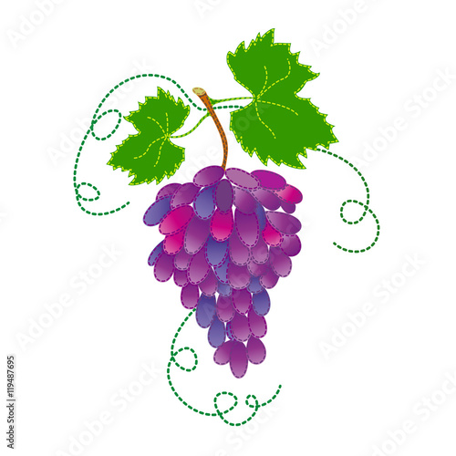 Fresh dark grape with green leaves on white background.
