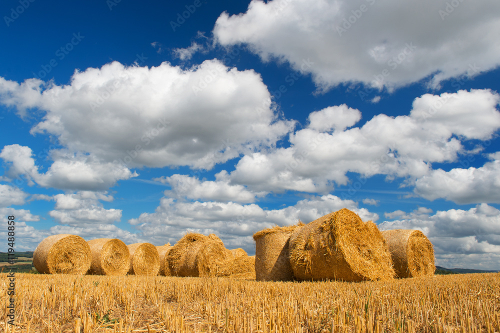 Golden Hay rolls in France