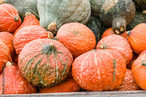 Orange and blue hubbard squash