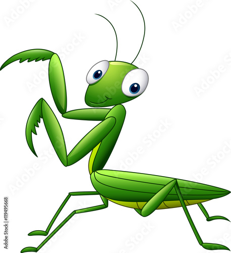 Cute cartoon mantis photo