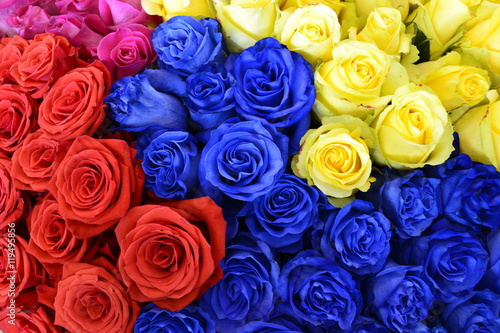 Разноцветные розы на Международной выставке цветов в Москве